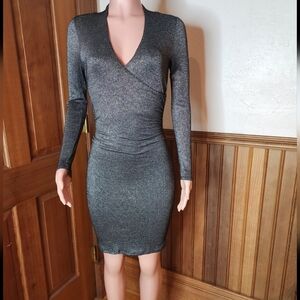 Ted Baker Doccina Metallic Silver Dress